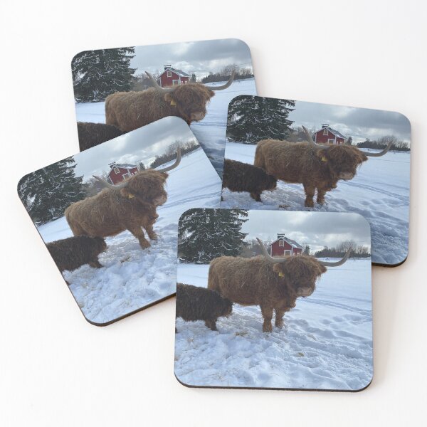 Artikelvorschau, Scottish Highland Cattle Cow 4364 entworfen und verkauft von SaarelaHighland.