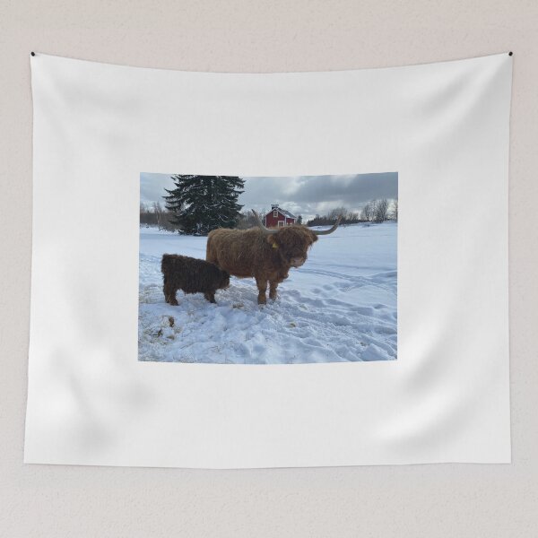 Item preview, Scottish Highland Cattle Cow 4364 designed and sold by SaarelaHighland.