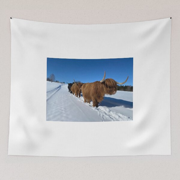 Item preview, Scottish Highland Cattle Cows 4366 designed and sold by SaarelaHighland.