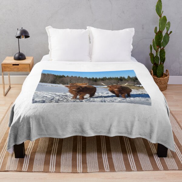 Item preview, Scottish Highland Cattle Cows 4367 designed and sold by SaarelaHighland.