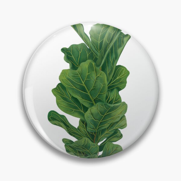 Item preview, Fiddle Leaf Fig in yellow polka dot planter designed and sold by Ana Moguš.