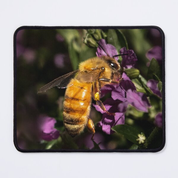 Item preview, Honey Bee 10 designed and sold by Jacquiamber.