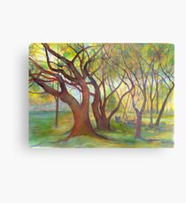 Live Oaks Metal Print