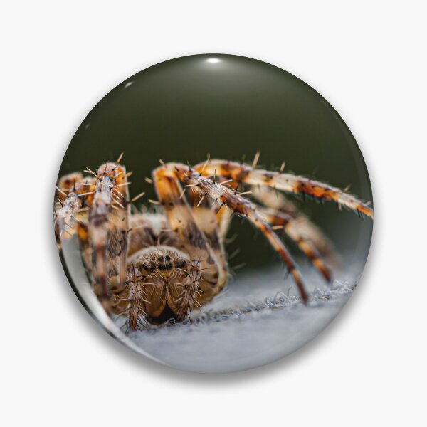 Item preview, Spider designed and sold by Norsewings.