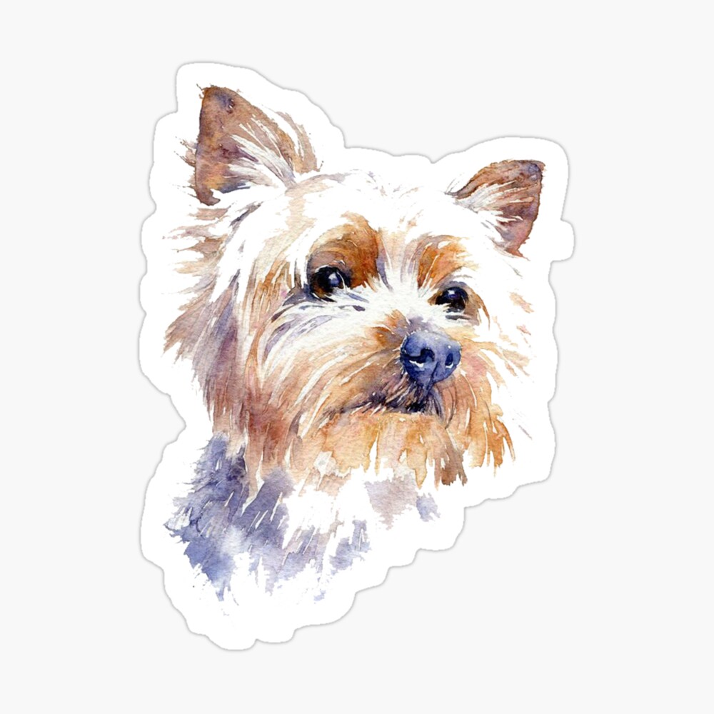 Yorkshire Terrier Watercolor