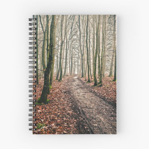 Item preview, snowless winter walk in the forest designed and sold by Michael Hofmann.