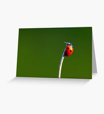 lady Greeting Card
