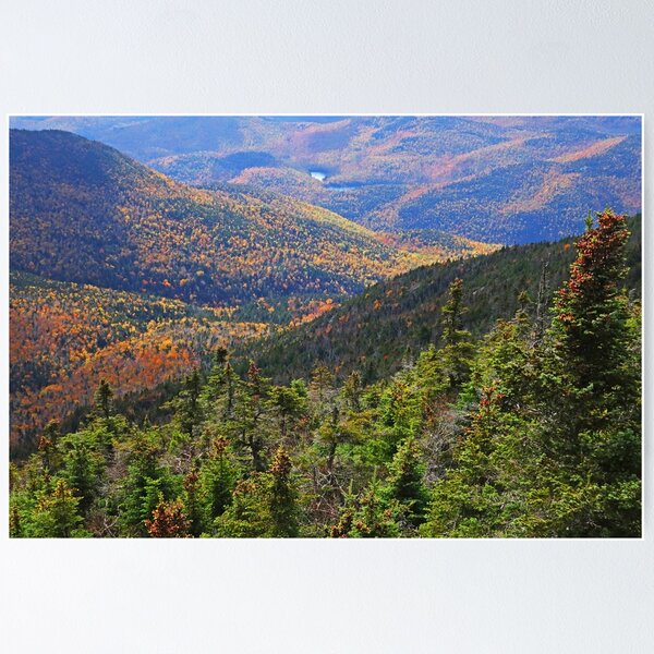 Artikelvorschau, Laub bedeckte Mountainscape Keene-Tal Adirondacks New York entworfen und verkauft von WayneOxfordPh.
