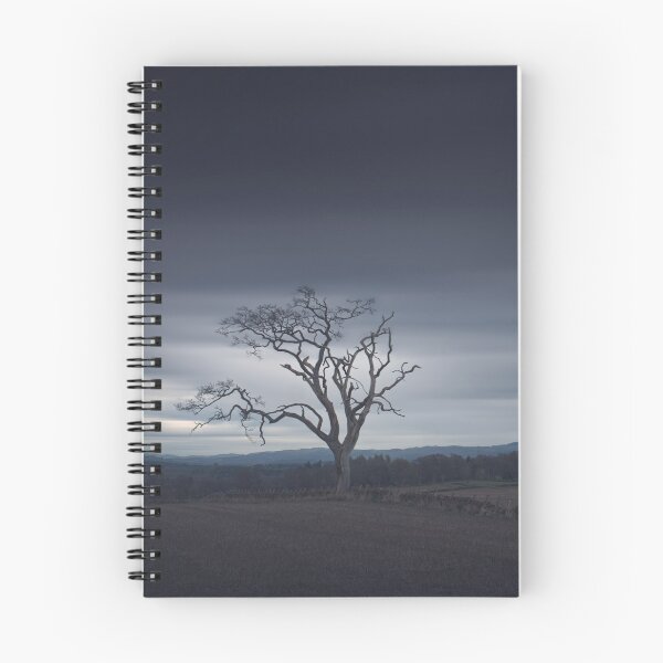 Item preview, Standing Firm designed and sold by ShinyPhoto.