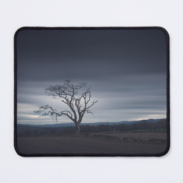 Item preview, Standing Firm designed and sold by ShinyPhoto.