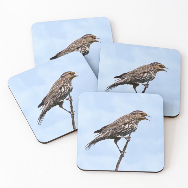 Item preview, Female redwing blackbird designed and sold by KRFNatureGifts.