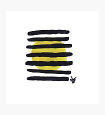 Bumble Lines Photographic Print