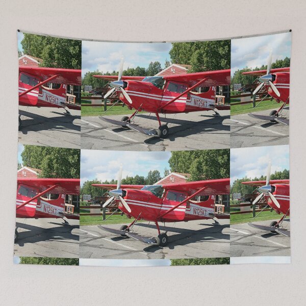 Item preview, Ski plane, high wing aircraft, Talkeetna, Alaska designed and sold by FranWest.