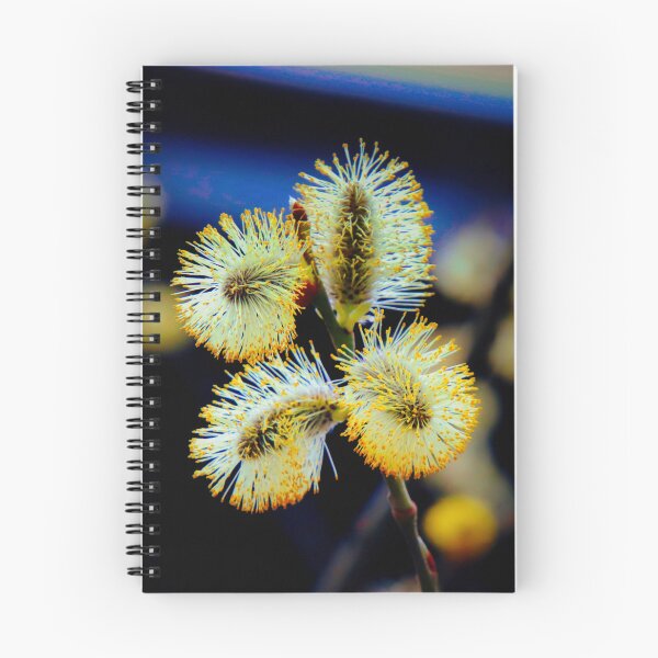 Item preview, Pussy Willow in Bloom - Willow catkin in bloom designed and sold by Ruhrpottpicture.