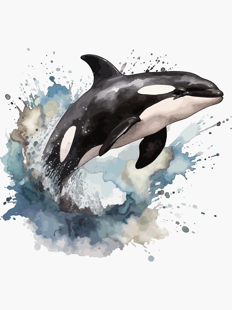Shimmer Orca Lover Pointillism Art Killer Whale, Stainless Steel Water  Bottle, 17 Oz, Whale, Gift, Drawing, Stippling, Breaching, Tumbler 