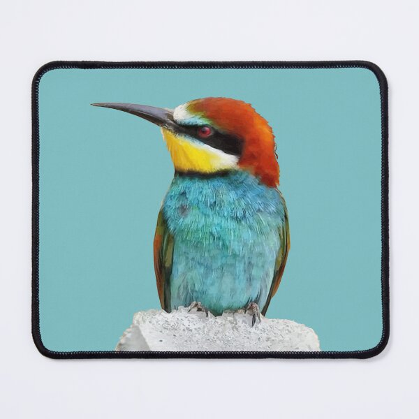 Item preview, Brightly Colored European Bee Eater Vector Art designed and sold by taiche.