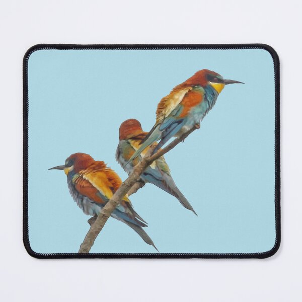 Item preview, Three Beautifully Colored European Bee-Eaters  designed and sold by taiche.