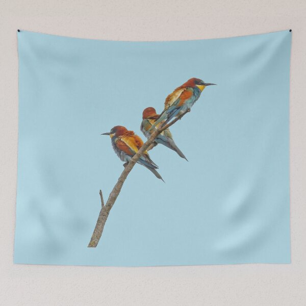 Item preview, Three Beautifully Colored European Bee-Eaters designed and sold by taiche.