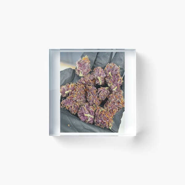 Item preview,  Beartooth Biscotti  designed and sold by KingJayGardens.