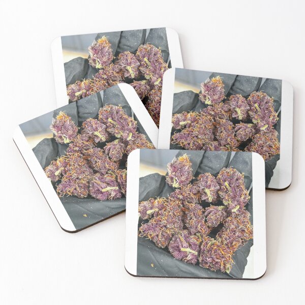 Item preview,  Beartooth Biscotti  designed and sold by KingJayGardens.