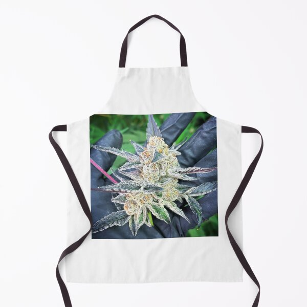 Item preview, Mendolicious designed and sold by KingJayGardens.