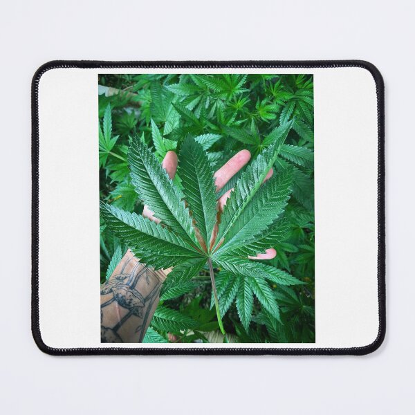 Item preview, Fan Leaf designed and sold by KingJayGardens.