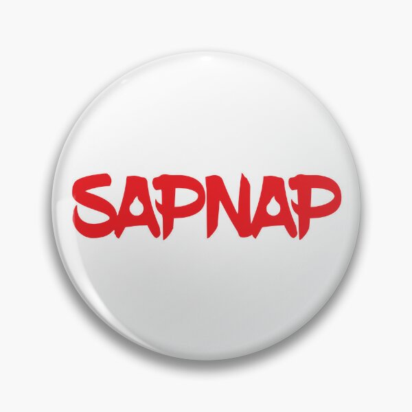 Pin on ⋆sapnap⋆