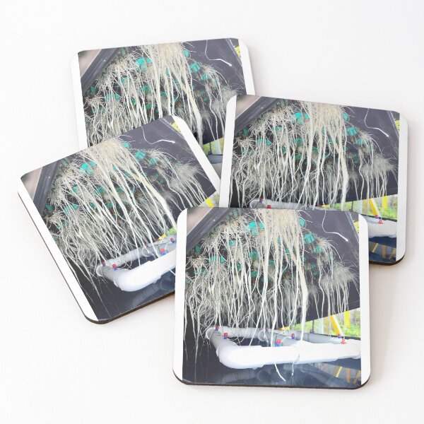 Item preview, Roots designed and sold by KingJayGardens.