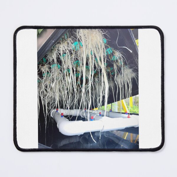 Item preview, Roots designed and sold by KingJayGardens.