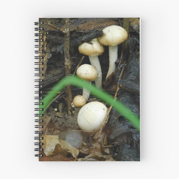 Item preview, Champignon the Wood Mushroom designed and sold by Zarabeaver.