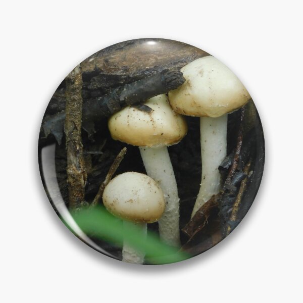 Item preview, Champignon the Wood Mushroom designed and sold by Zarabeaver.