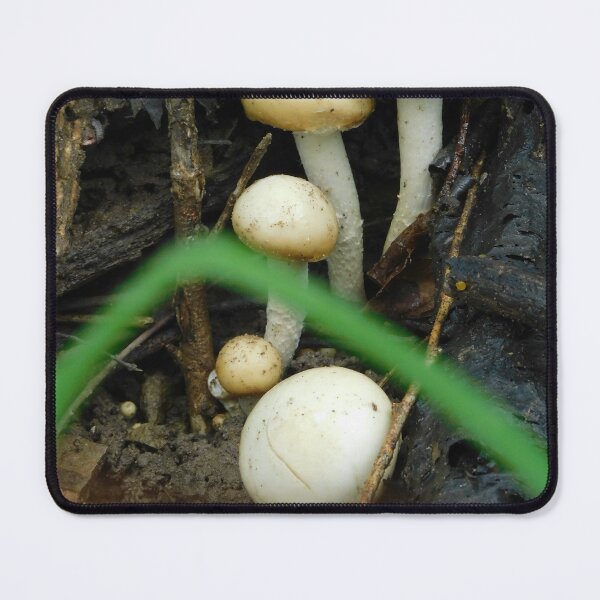 Item preview, Champignon the Wood Mushroom designed and sold by Zarabeaver.
