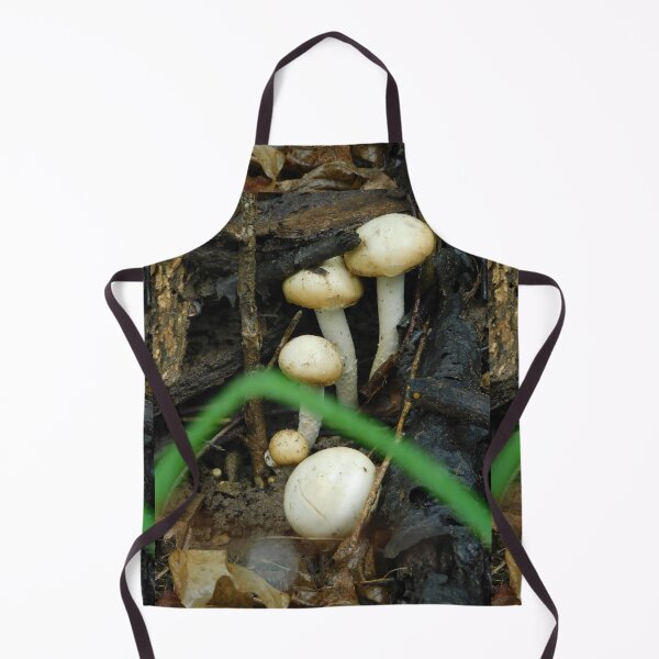 Item preview, Champignon the Wood Mushroom designed and sold by Zarabeaver.