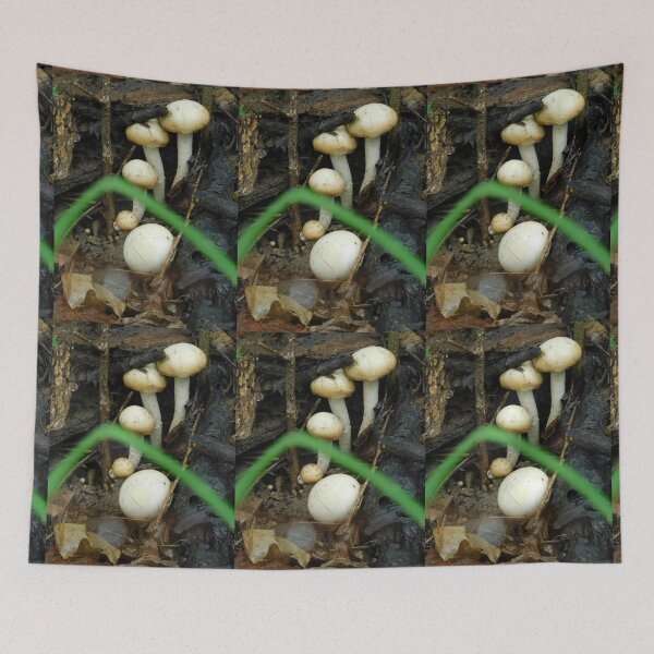 Item preview, Champignon the Wood Mushroom designed and sold by Zarabeaver.