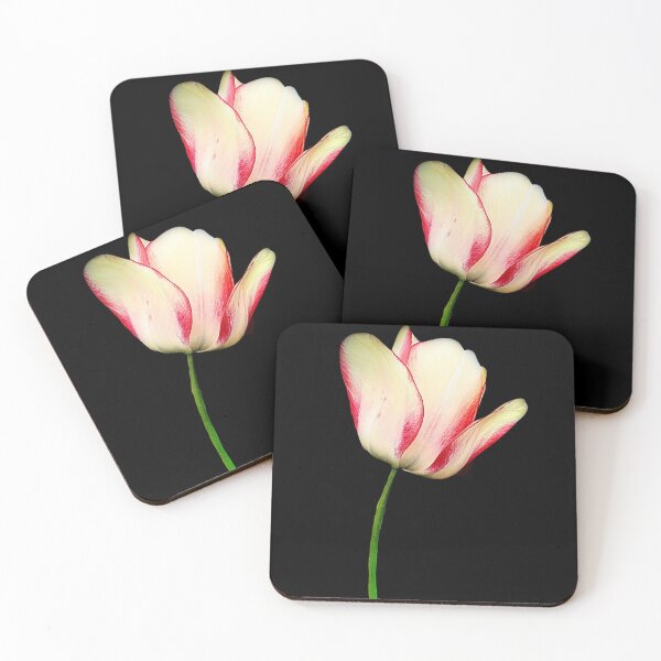 Item preview, White and Pink Striped Tulip pn Black designed and sold by TheArtyOne11.