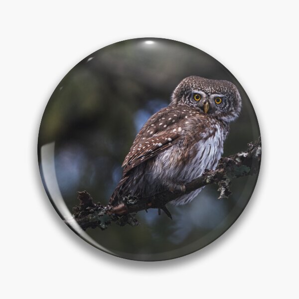 Item preview, Eurasian pygmy owl designed and sold by Norsewings.