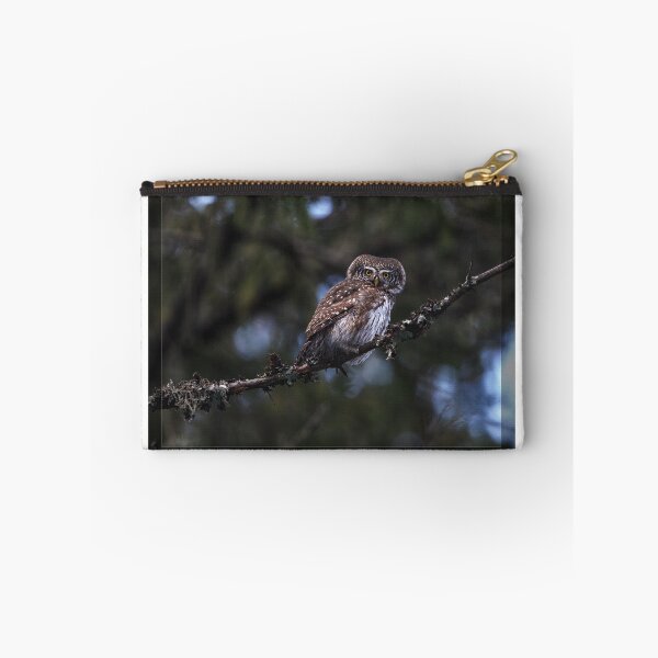 Item preview, Eurasian pygmy owl designed and sold by Norsewings.