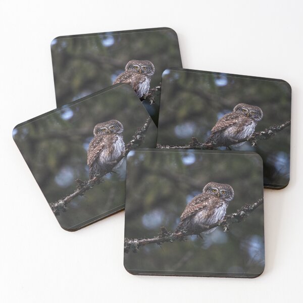 Item preview, Eurasian pygmy owl designed and sold by Norsewings.