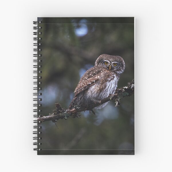 Item preview, Eurasian pygmy owl designed and sold by Norsewings.