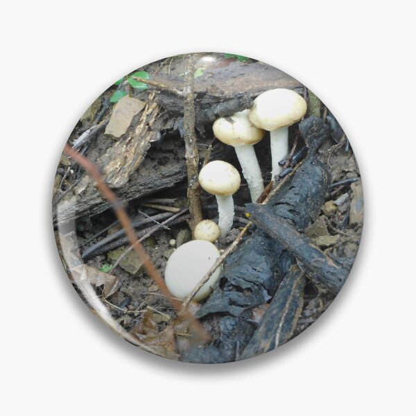 Item preview, Wood Mushroom designed and sold by Zarabeaver.