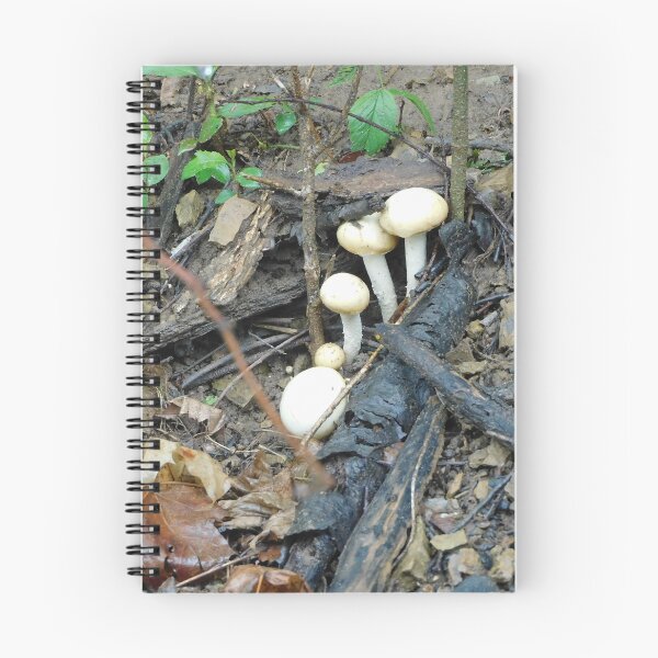 Item preview, Wood Mushroom designed and sold by Zarabeaver.