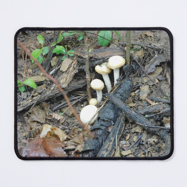 Item preview, Wood Mushroom designed and sold by Zarabeaver.