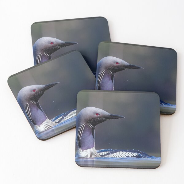 Item preview, Common Loon designed and sold by Norsewings.