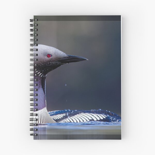 Item preview, Common Loon designed and sold by Norsewings.