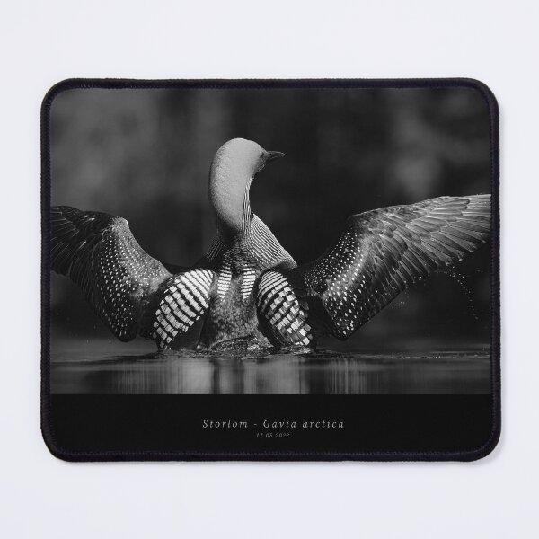 Item preview, Common Loon designed and sold by Norsewings.