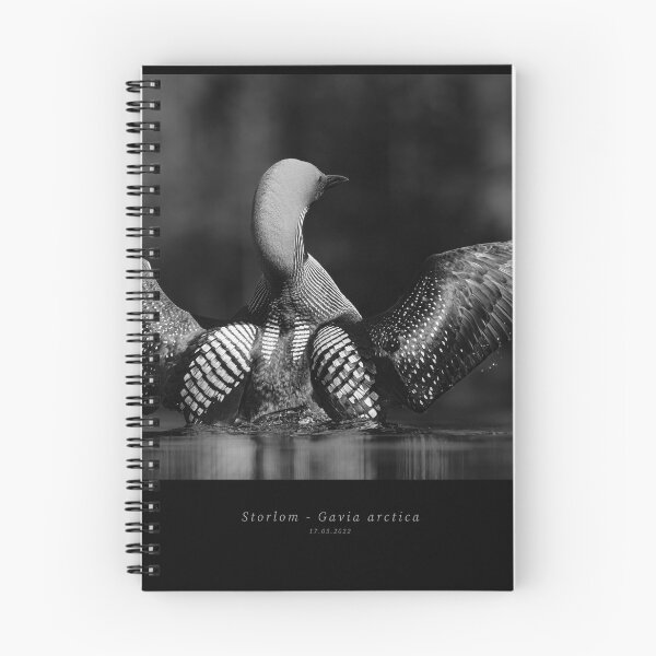 Item preview, Common Loon designed and sold by Norsewings.