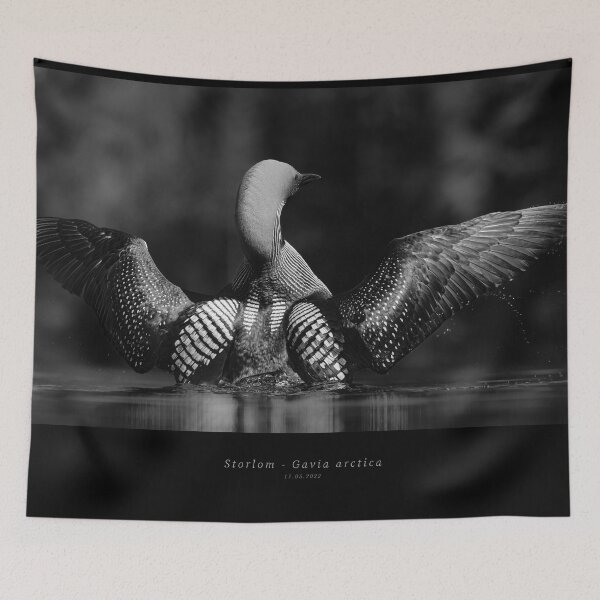 Item preview, Common Loon designed and sold by Norsewings.