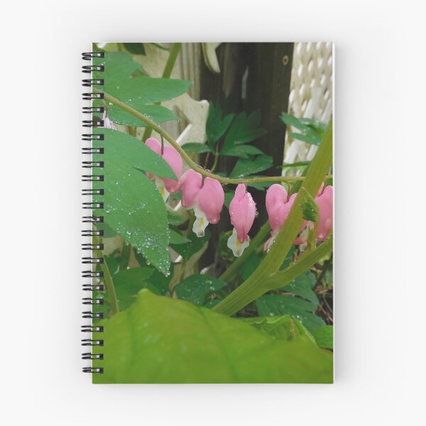 Item preview, Old-Fashioned Bleeding Heart after the rain  designed and sold by Zarabeaver.