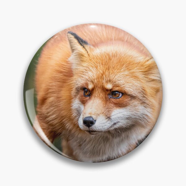 Artikelvorschau, Roter Fuchs entworfen und verkauft von Norsewings.