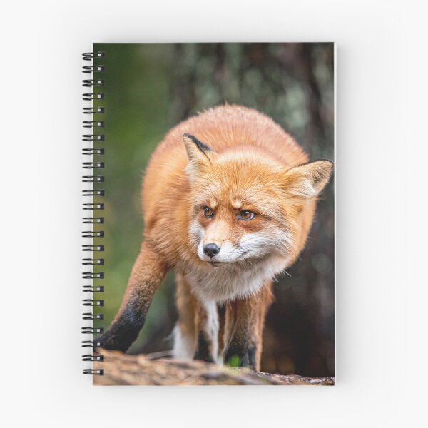 Item preview, Red Fox designed and sold by Norsewings.